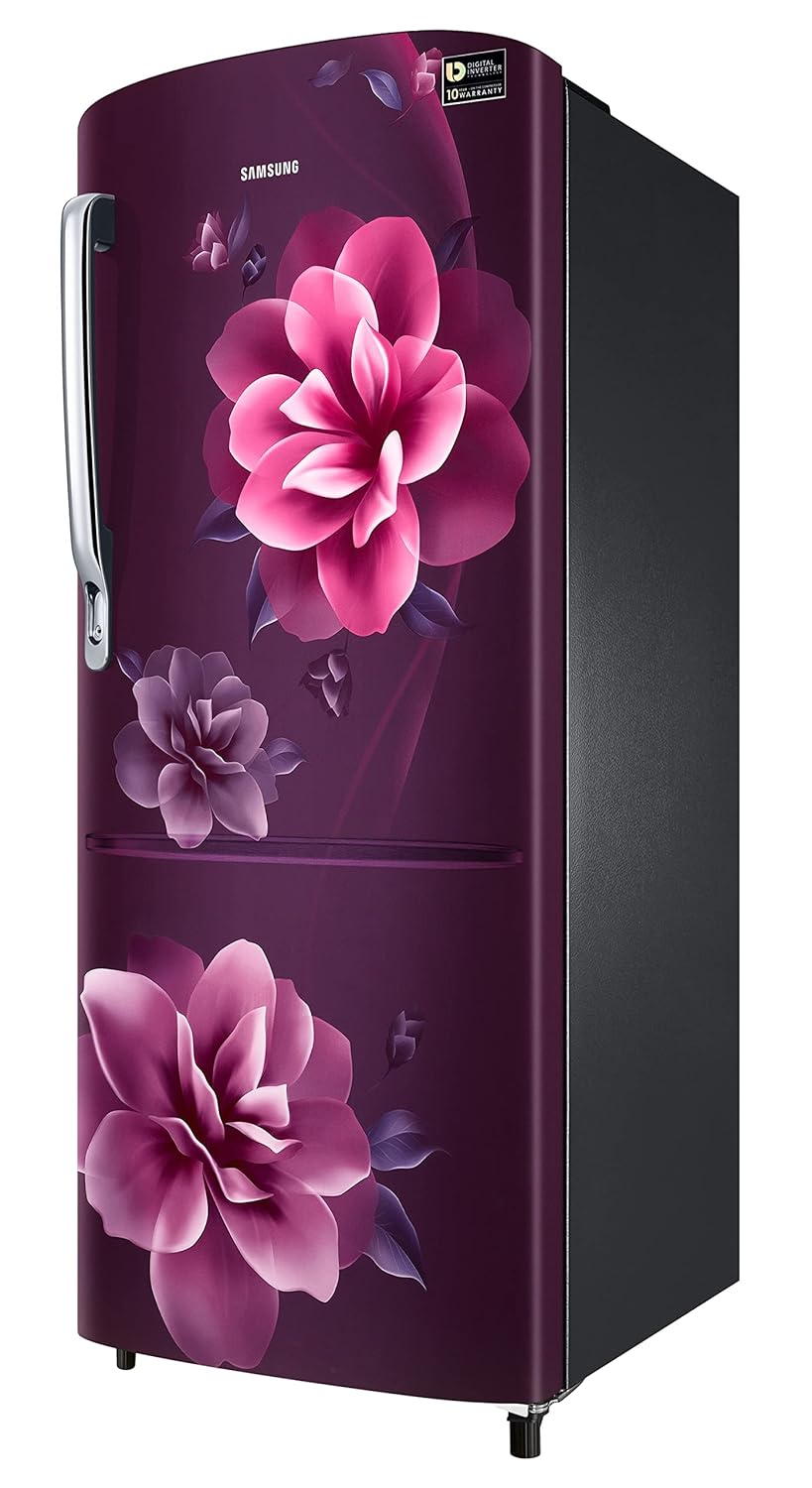 Samsung 223L 3 Star Inverter Direct-Cool Single Door Refrigerator Appliance (RR24C2723CR/NL,Camellia Purple)