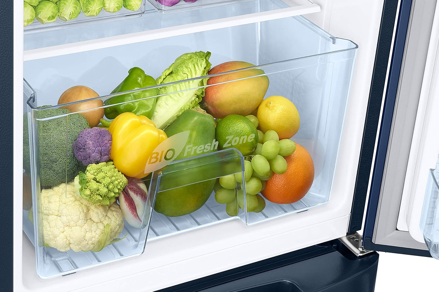 Samsung 183 L, 3 Star, Digital Inverter, Direct-Cool Single Door Refrigerator (RR20C1823CU/HL, Camellia Blue, Base Stand Drawer)
